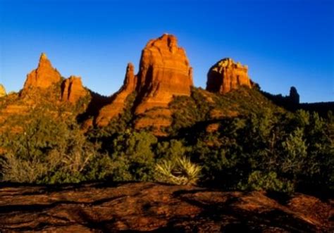 coconino national forest|coconino national forest home page.